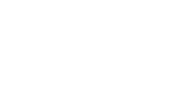 NVC International