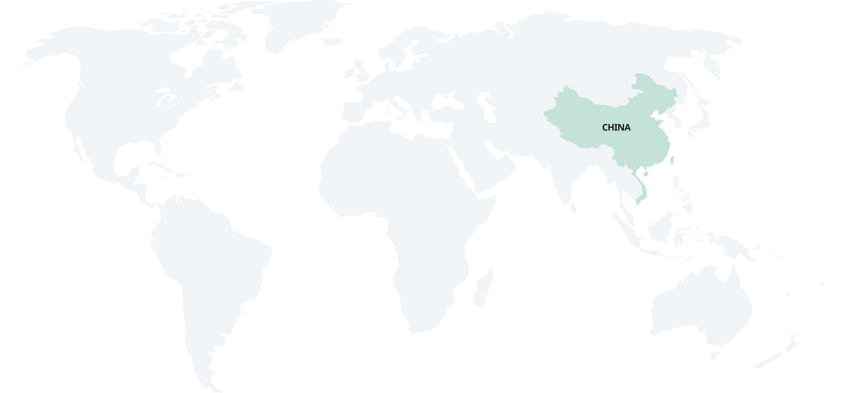 NVC International